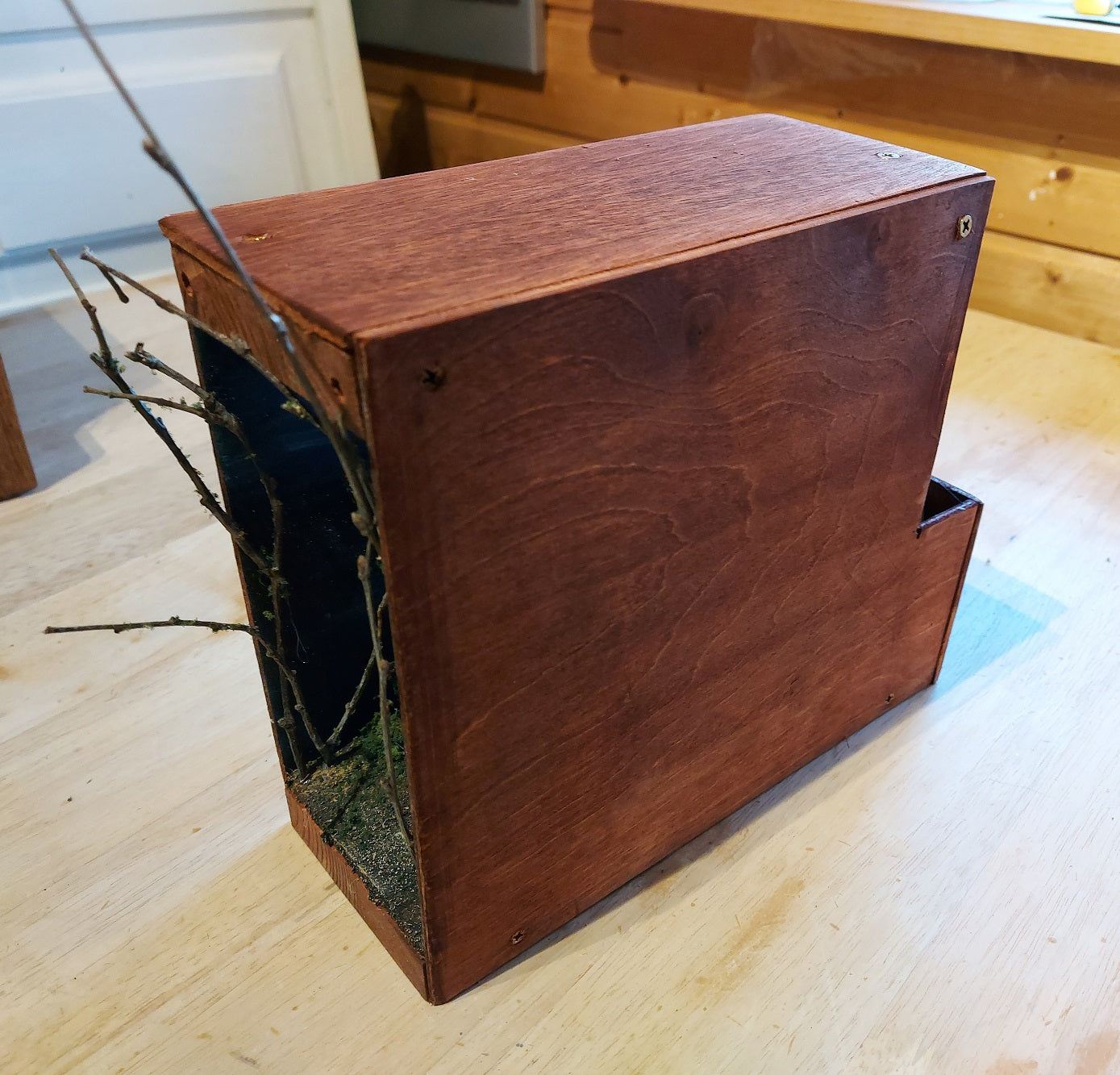 Enchant forest with remote control