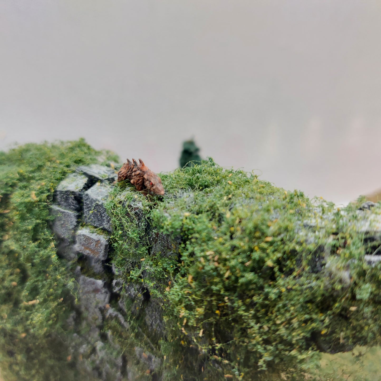 Skattejakt - Diorama