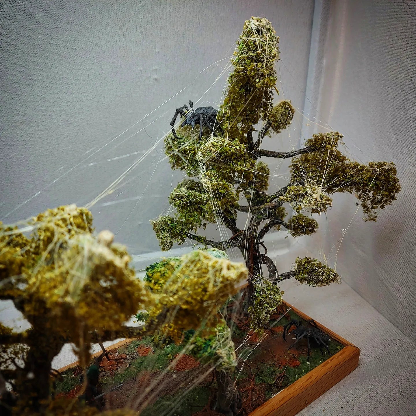 Swamp forest