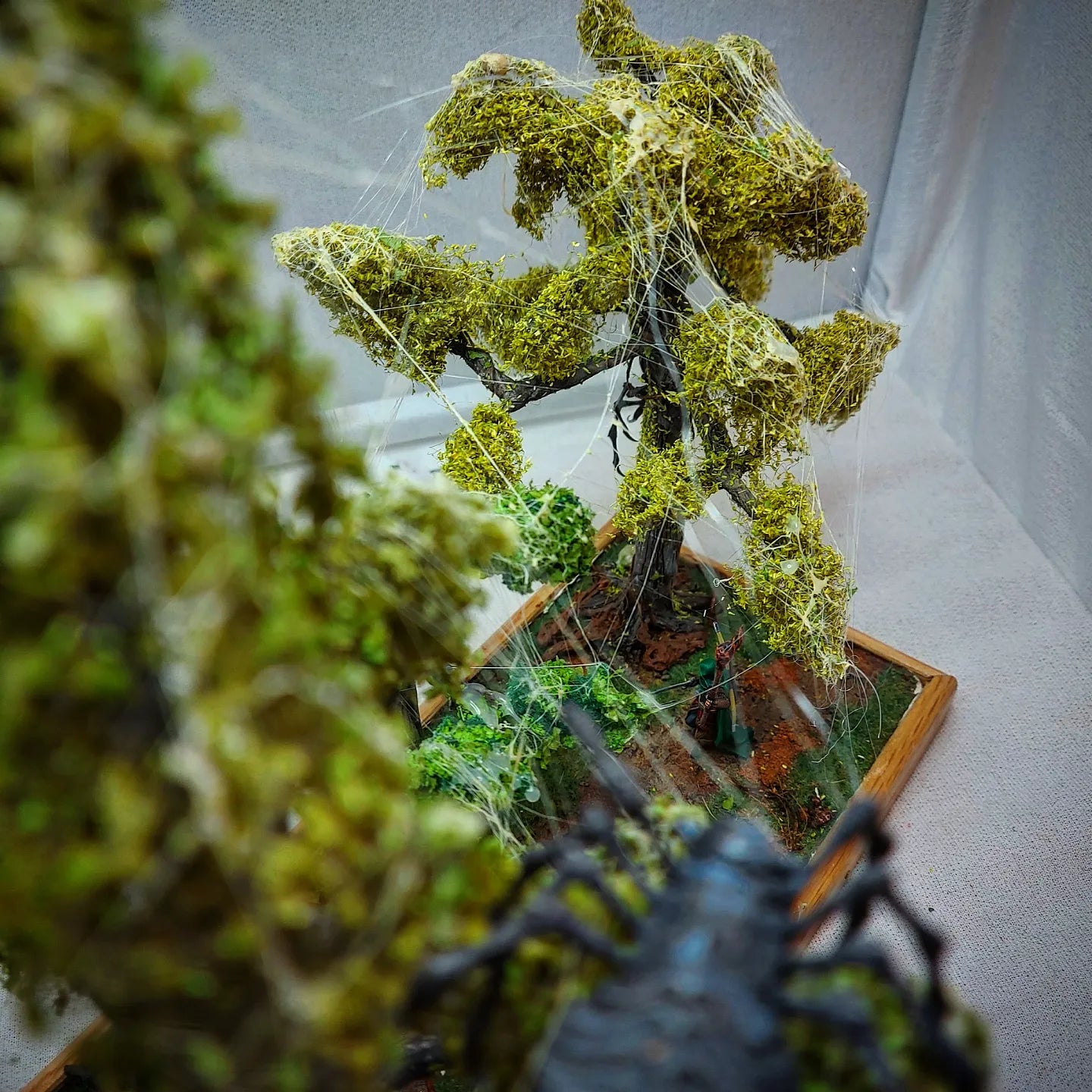 Swamp forest