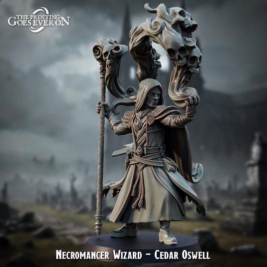 Necromancer Wizard - Cedar Oswell