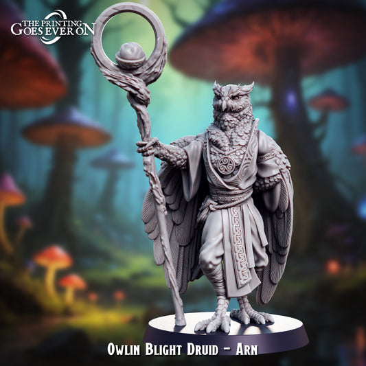 Owlin Blight Druid - Arn