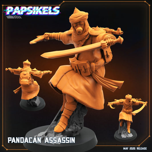 Pandacan assasin