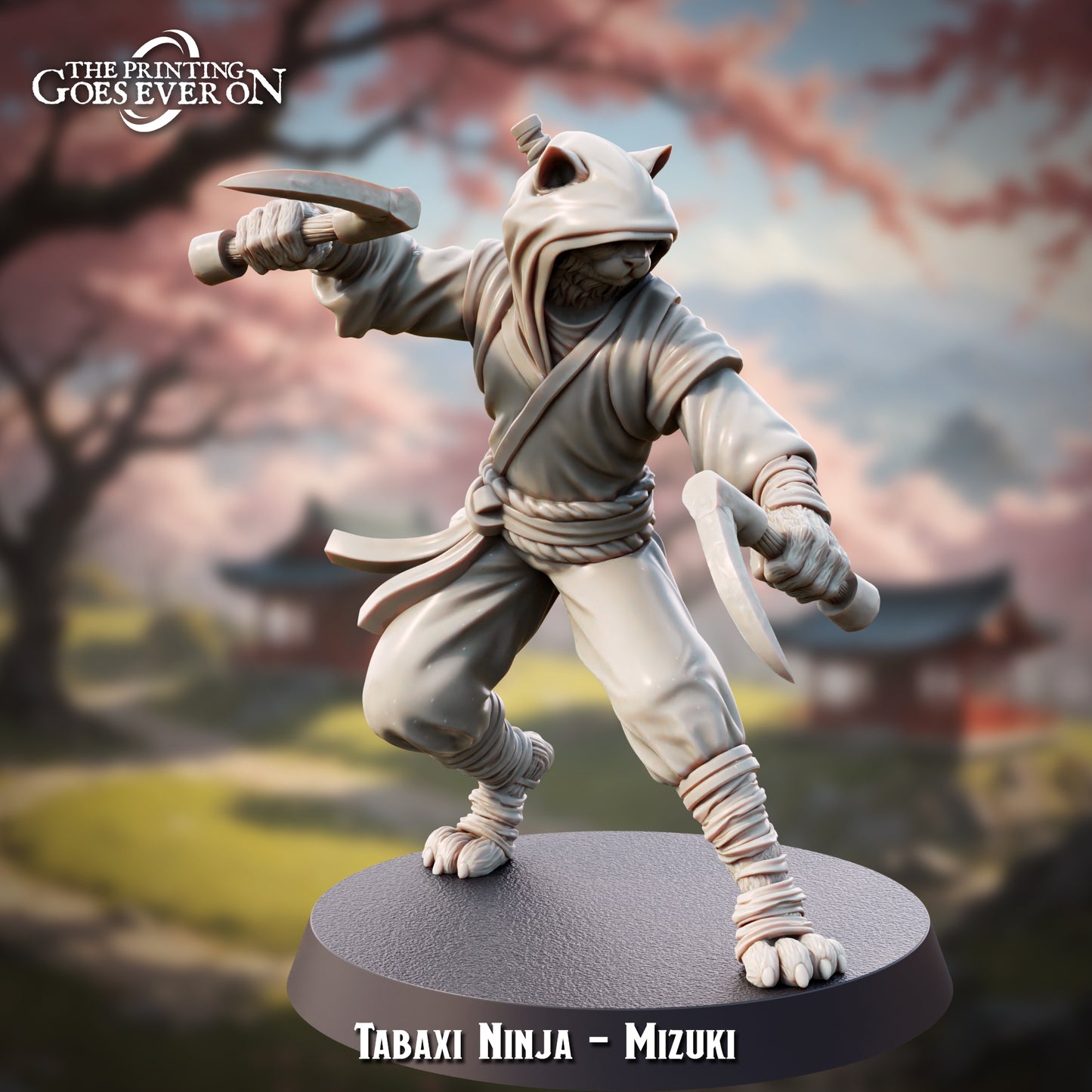 Tabaxi Ninja - Mizuki