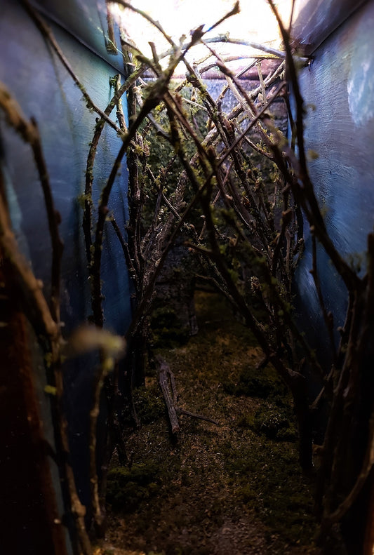 Enchant forest with remote control