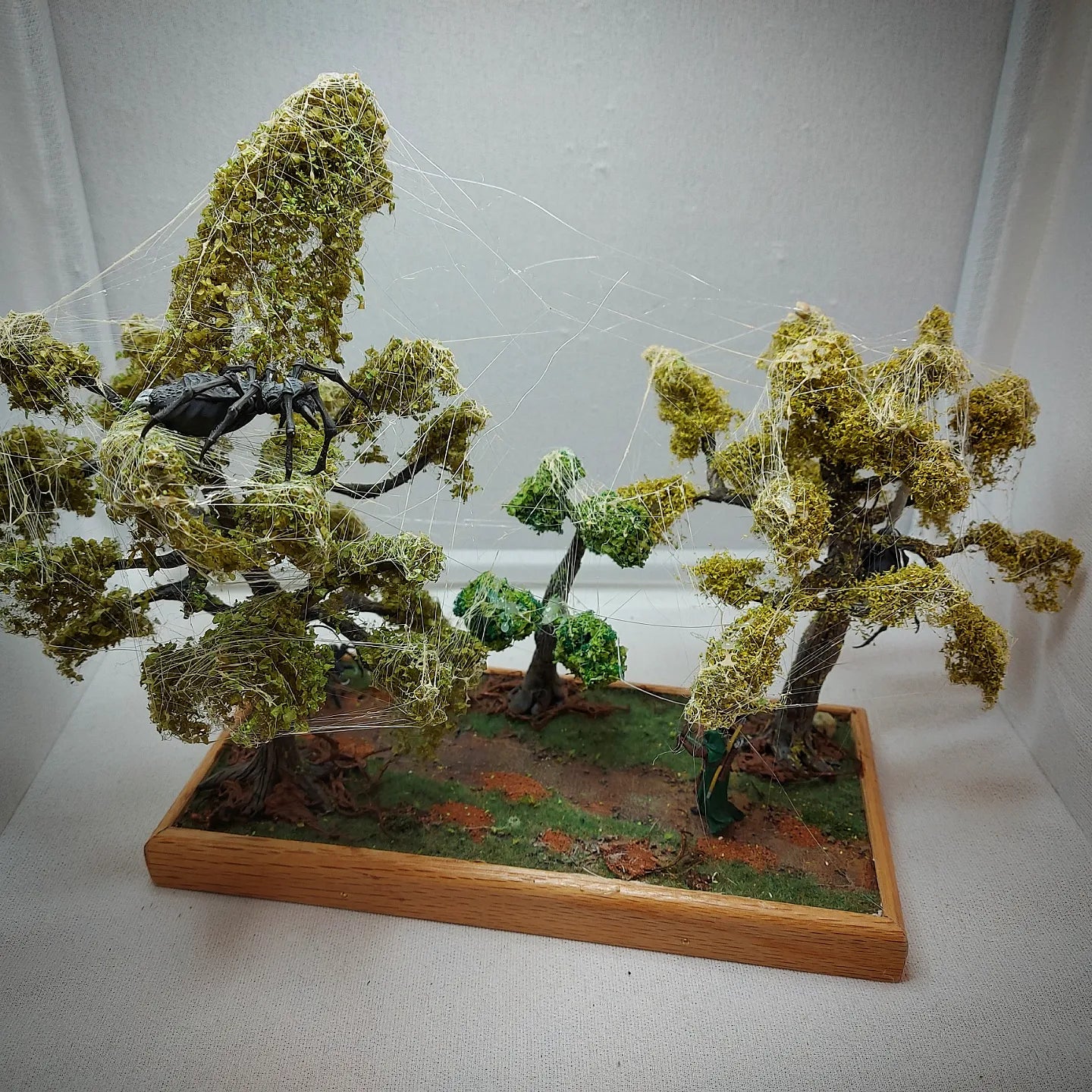 Swamp forest