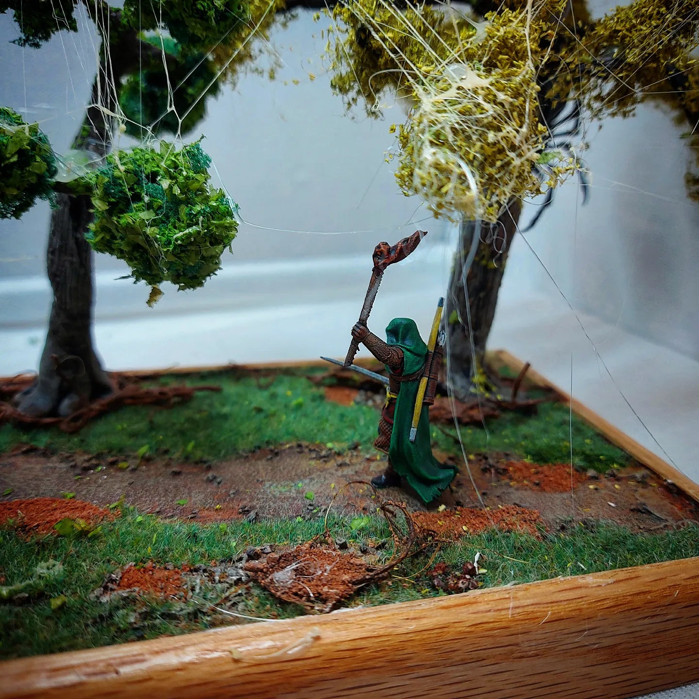 Swamp forest