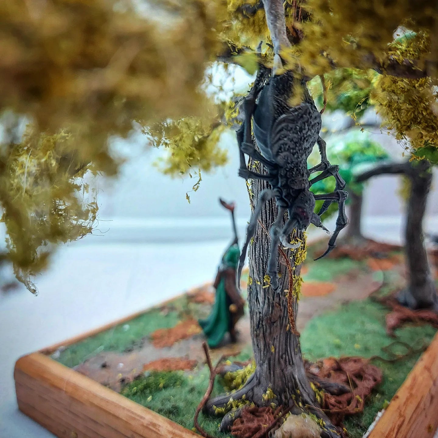 Swamp forest