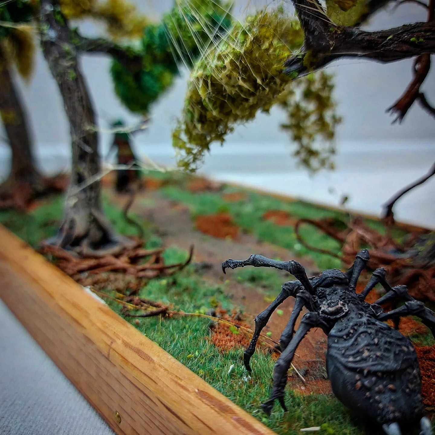 Swamp forest