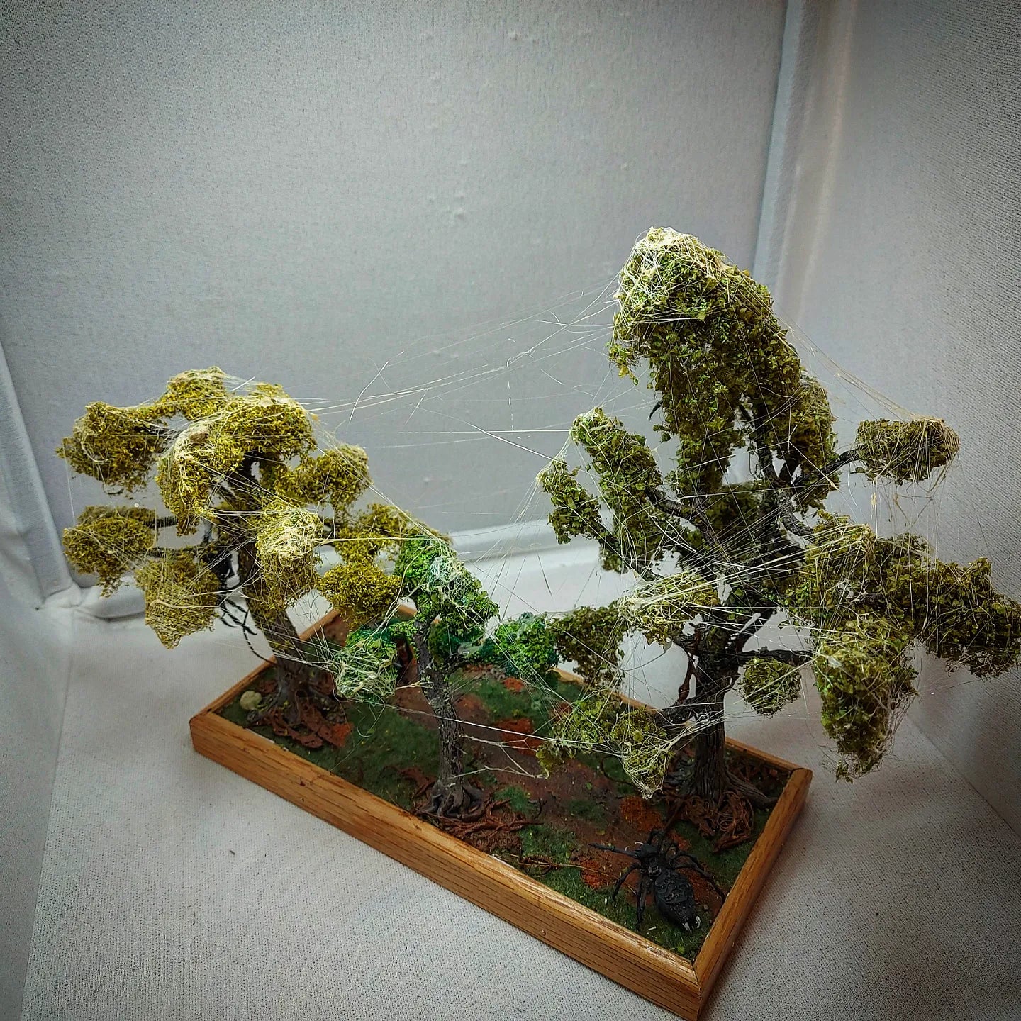 Swamp forest